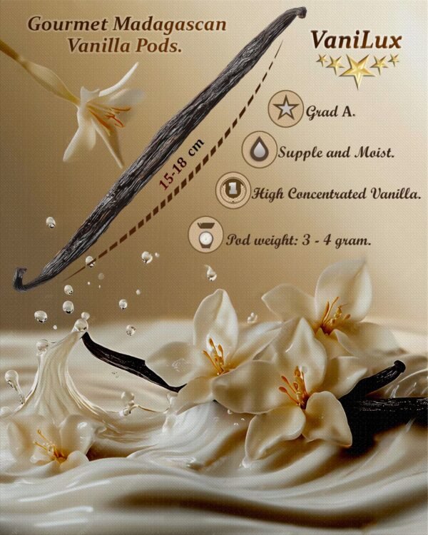 VANILUX Gourmet Madagascan Vanilla Pods Grade A ( 10 Pods )