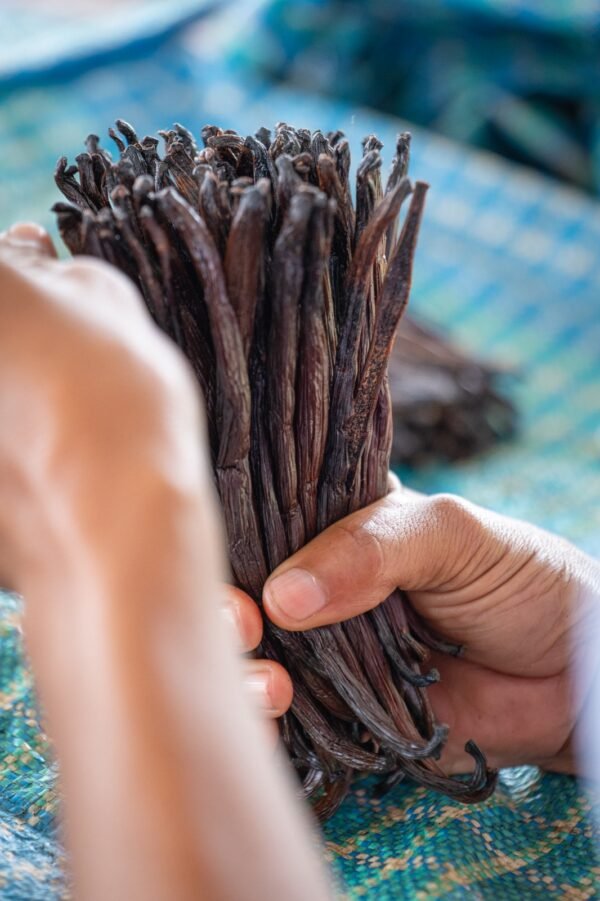 VANILUX Gourmet Madagascan Vanilla Pods Grade A ( 10 Pods )